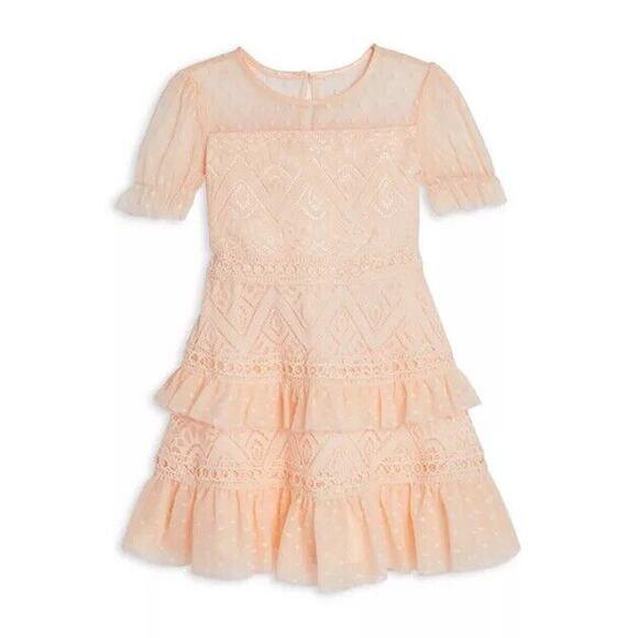 BCBG Girls Lacy Mesh Dots Dress size 16‎ Light Pink - Picture 1 of 8
